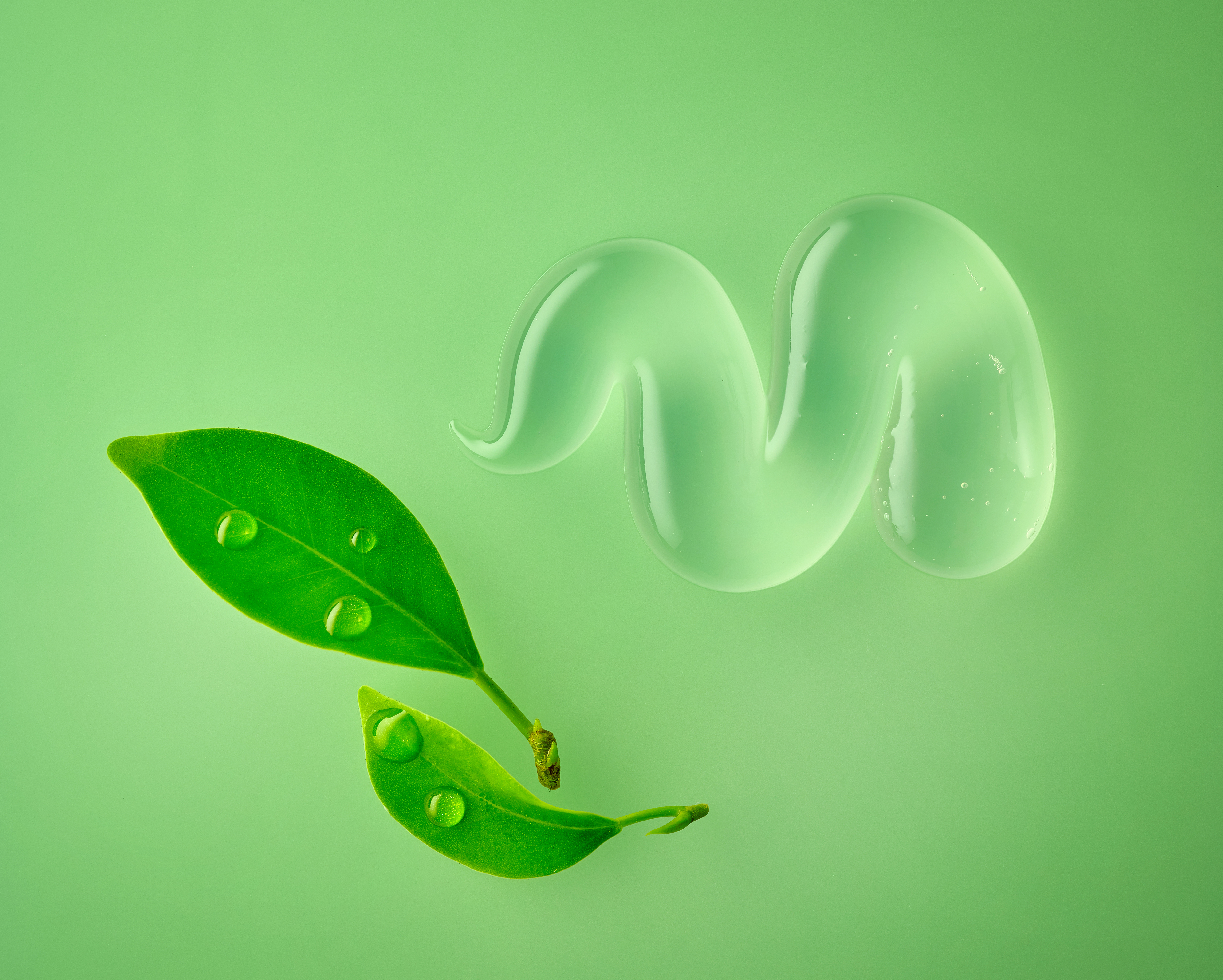 Matcha Tee als Gesichtsmaske Matcha Tee Maske
